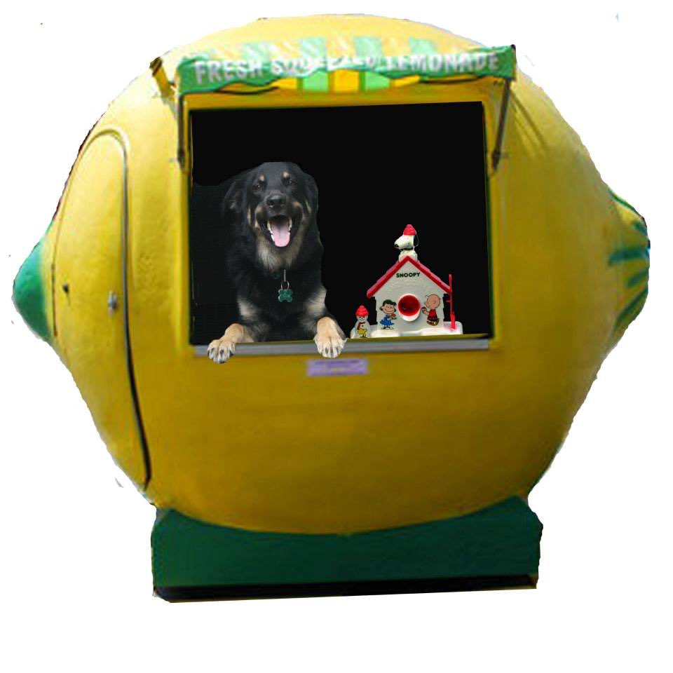 It's summer time. Who's up for Orwell's fresh organic lemon-y snow cones?