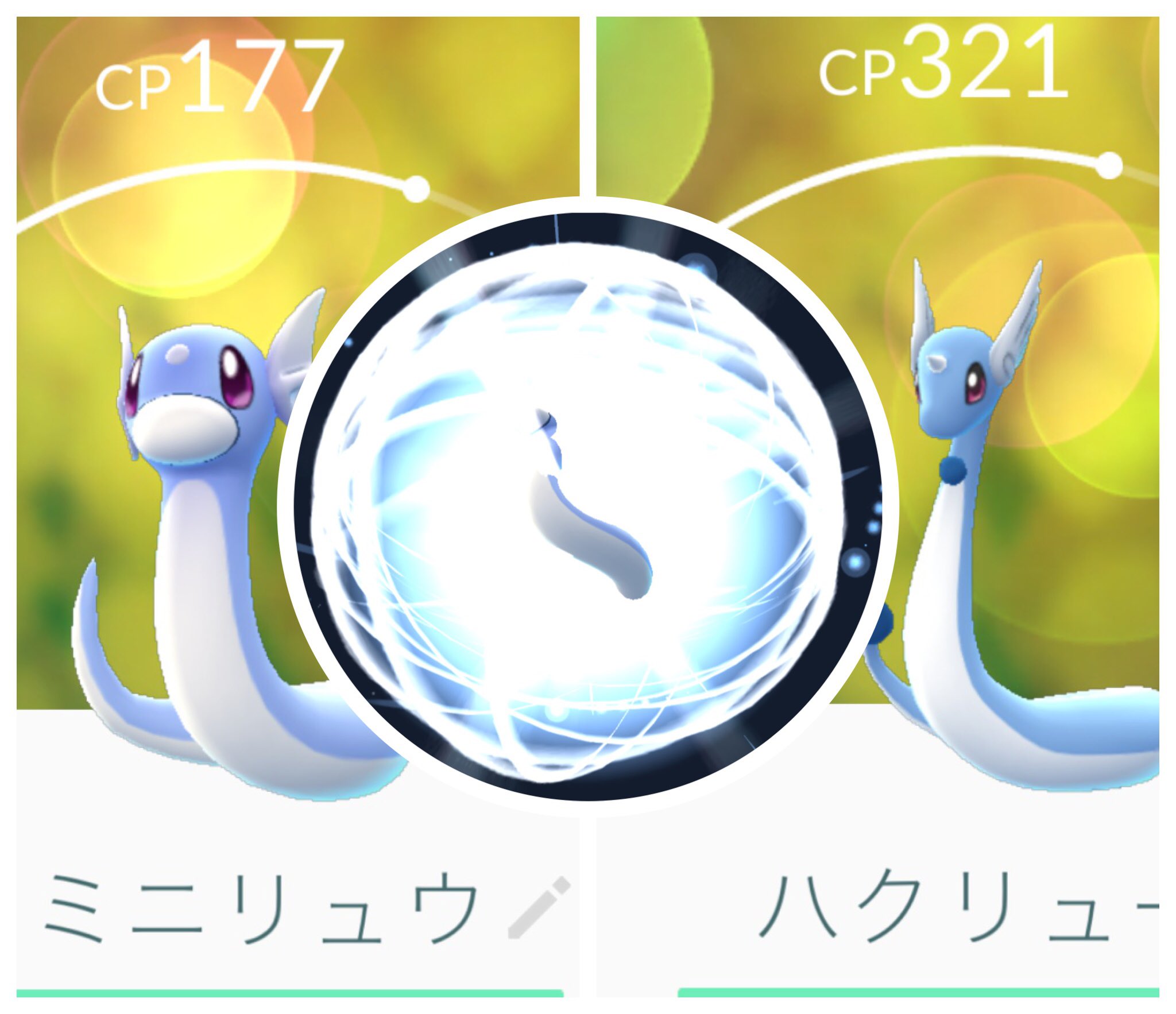 Iluvgamez 勢いでミニリュウをハクリューに進化 もうちょっと強い子を捕まえてからにすれば良かったとちょっと後悔中 あとカイリューの進化に必要な数を見てちょっと凹んでます あんな数のミニリュウどうやって捕まえろと ポケモンgo T Co