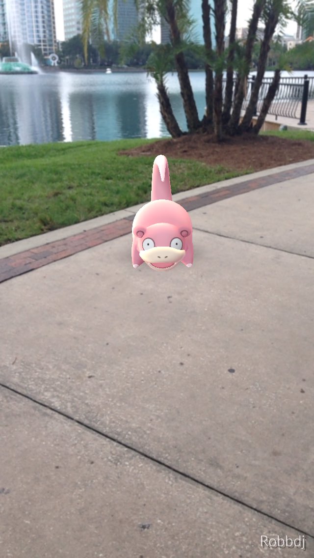 PokemonGoORL's tweet photo. As I was #slowly #pokemongo ing around #Lakeeola #pokemongoorl encountered this guy #slowpoke https://t.co/dWfYYxKWMQ