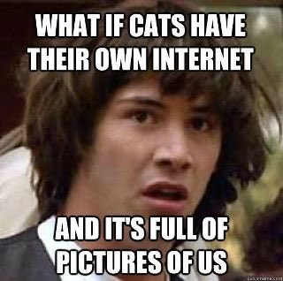 portmanteau jones 🕊🌊🐈⬛ tweet media