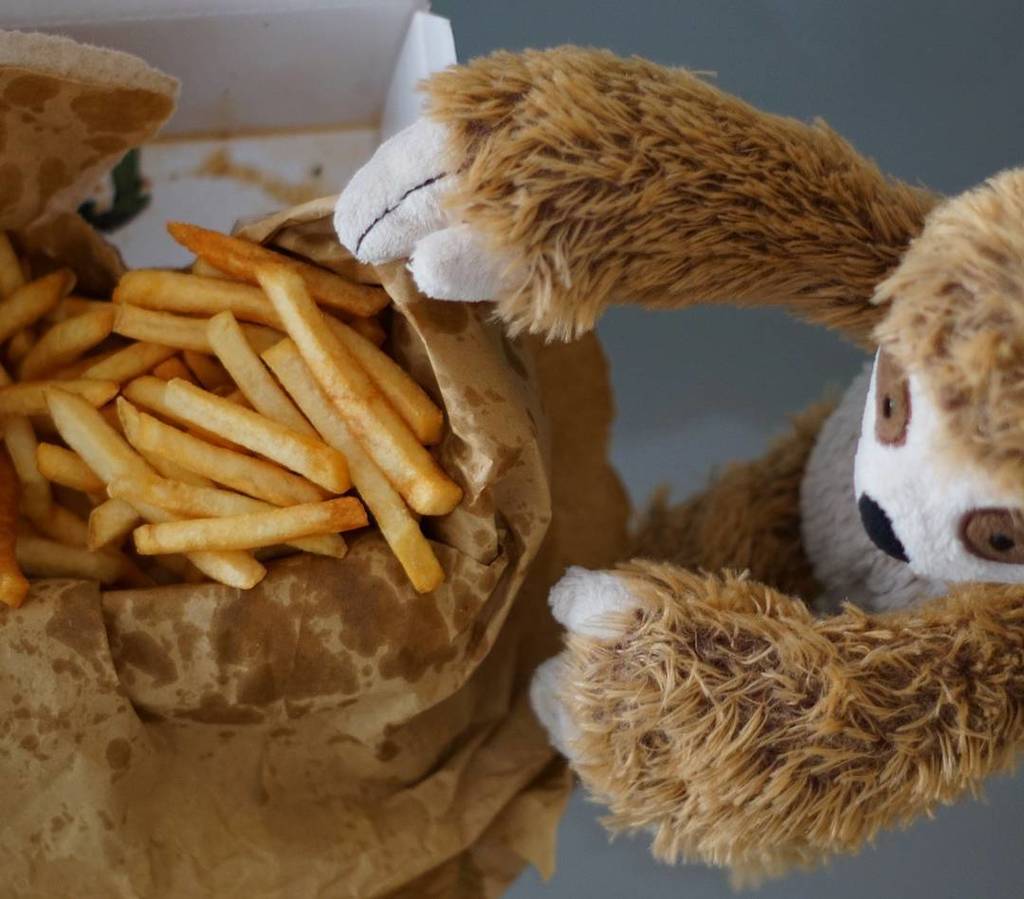 slothindublin's tweet photo. fish n' sloth
#slothindublin #sloth #dublin #fishandchips #fries #greasy #foodporn #chips https://t.co/IQ3PIzd4z1