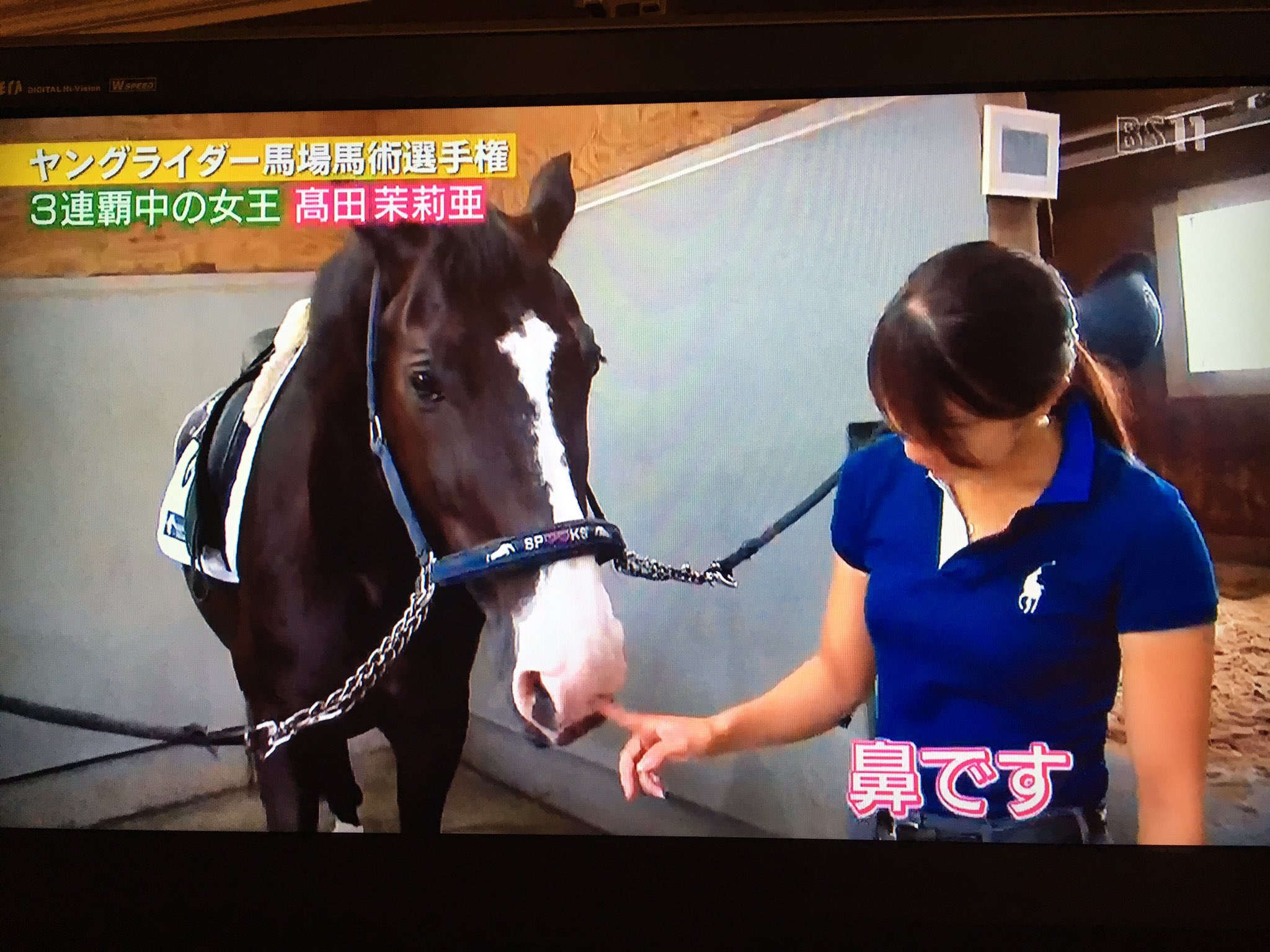 髙田 茉莉亜 馬術選手 リカルドがかわいすぎる チャームポイント 鼻 ピンク 馬 せん馬 馬術 馬場馬術 相棒 T Co Dptioq8frj Twitter