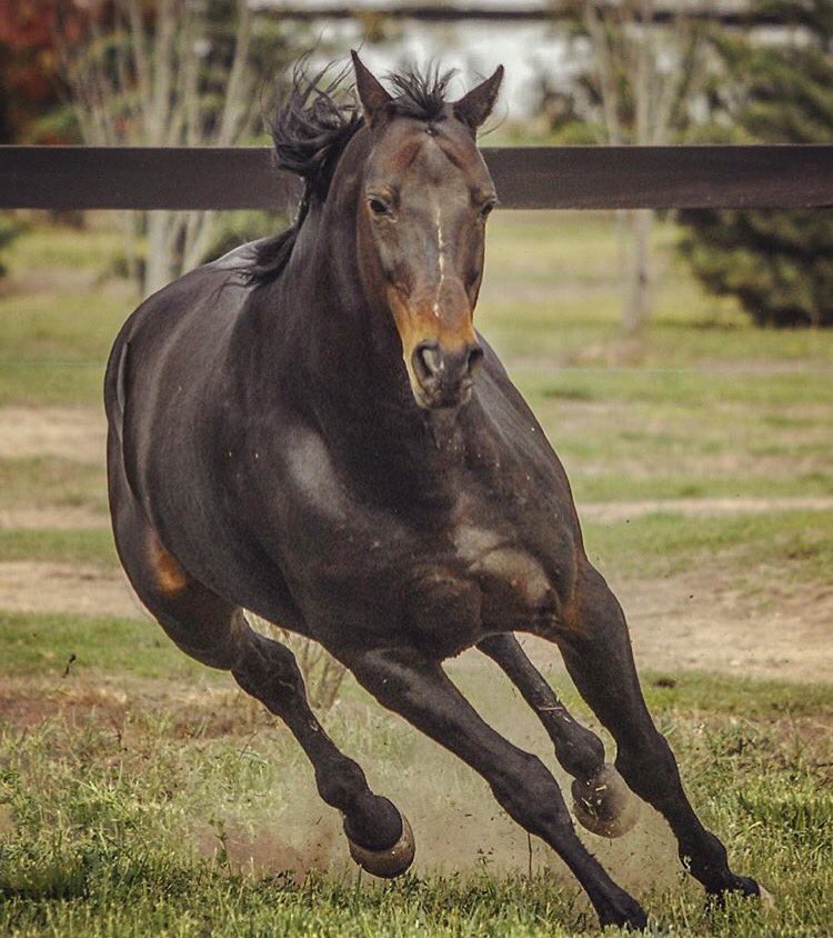 Simplemente Gracias!!!!!!
DURAZNO 1994 - 2016