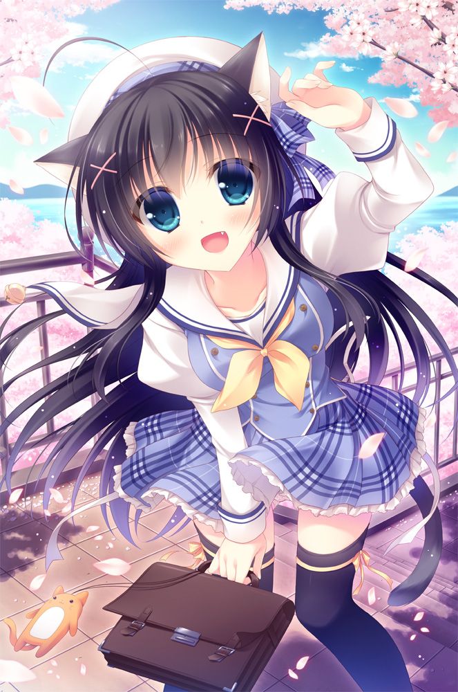 LoliGang tweet picture
