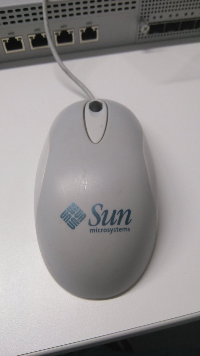 felinus's tweet image. Work partner #oraclesun