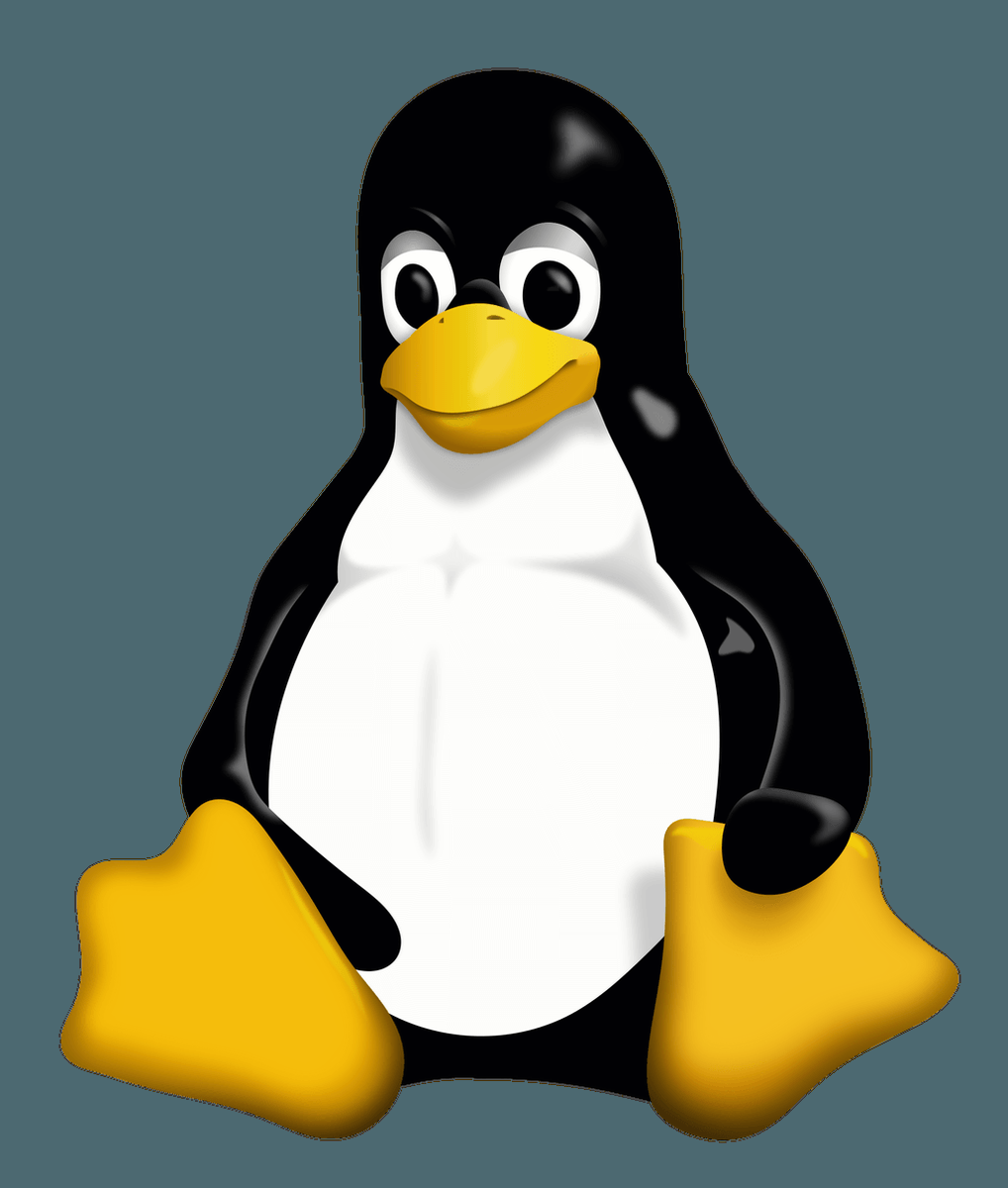 ErcanKrclk's tweet photo. Linux’da SED Komutunun Kullanımı https://t.co/Jz0yS5co8l https://t.co/0YtDXflZ9R