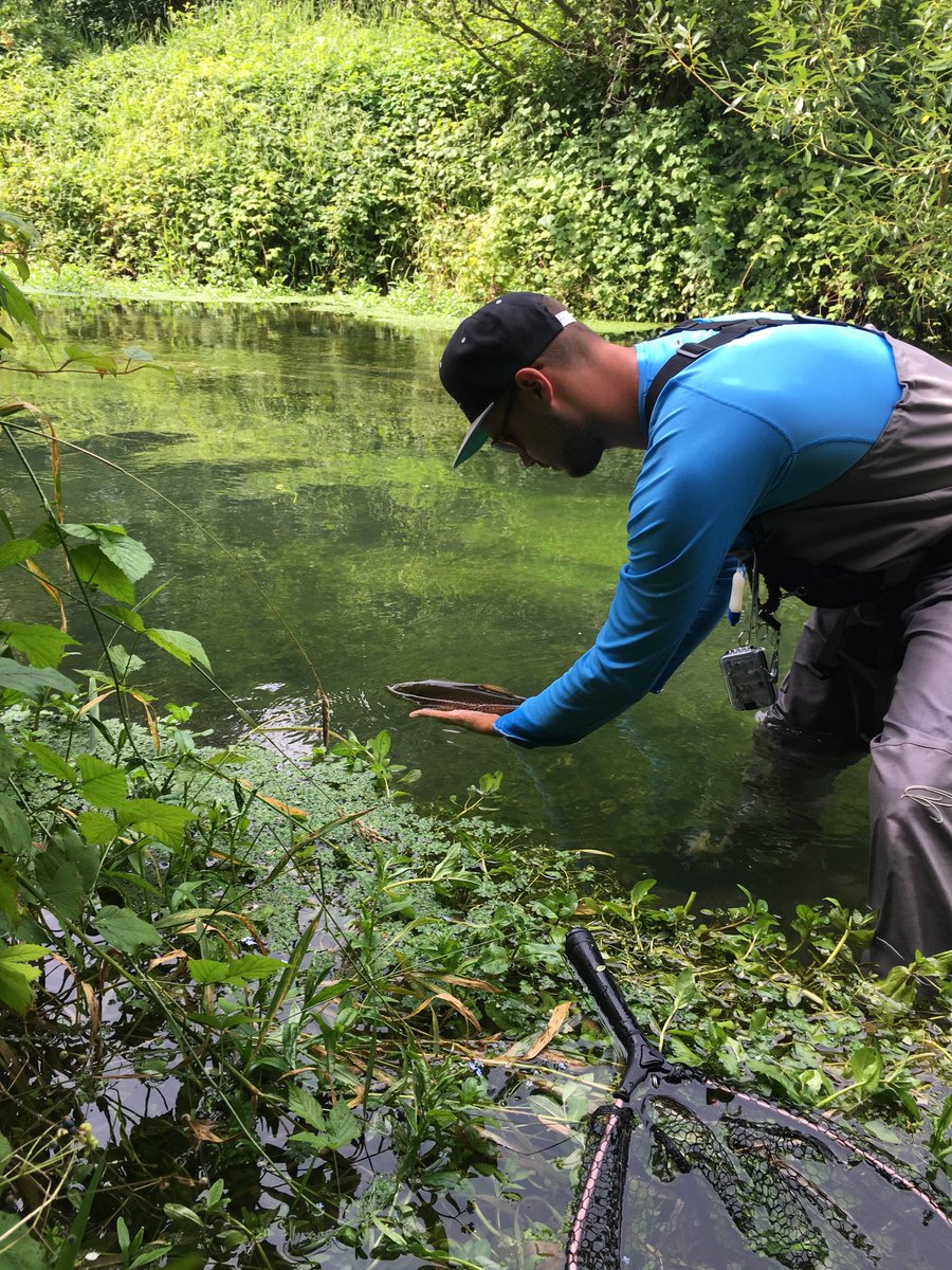JustFlyfishing's tweet photo. Live at the water, release a beautiful Brown more pictures later #justfly #flyfishing #trout #justflyfishing https://t.co/O9r9Ld7eiB