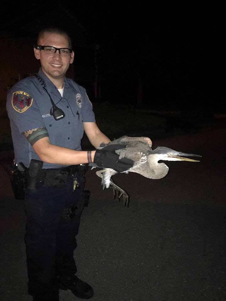 Kearney MO Police (KearneyMOpolice) Twitter