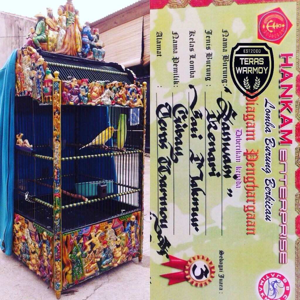 Alhamdulillah kenari "Sanwani" hari ini di kasih juara 3 lagi di hankam enterprise, Semoga kedepannya tambah joss