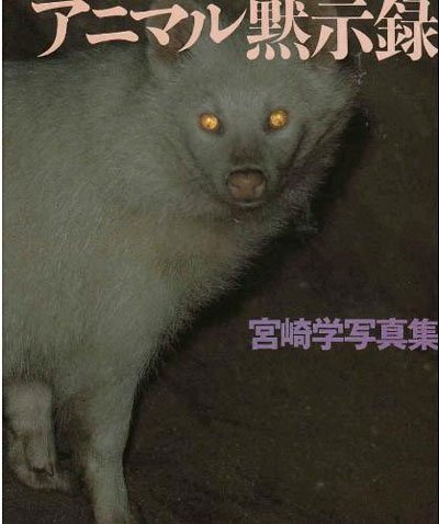 ambookstore's tweet photo. Animal Apocalypse - https://t.co/YGiEL8q5ee Miyazaki Manabu https://t.co/Y0zKySPvKa