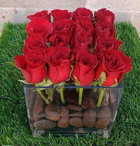 phone552's tweet photo. مساء الورد https://t.co/8YwhauBXE4