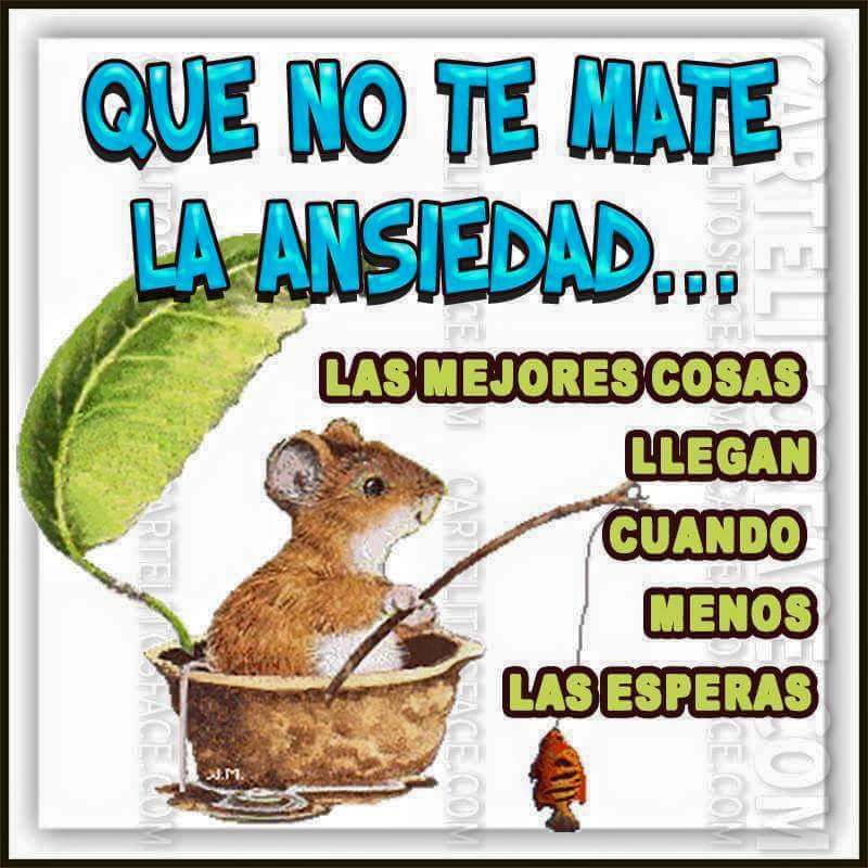 erickolivercort's tweet photo. Solo hay dejar fluir @ALEXCARPIZO @JavierEbc66 #valoresebc https://t.co/tfaVSkmsIz