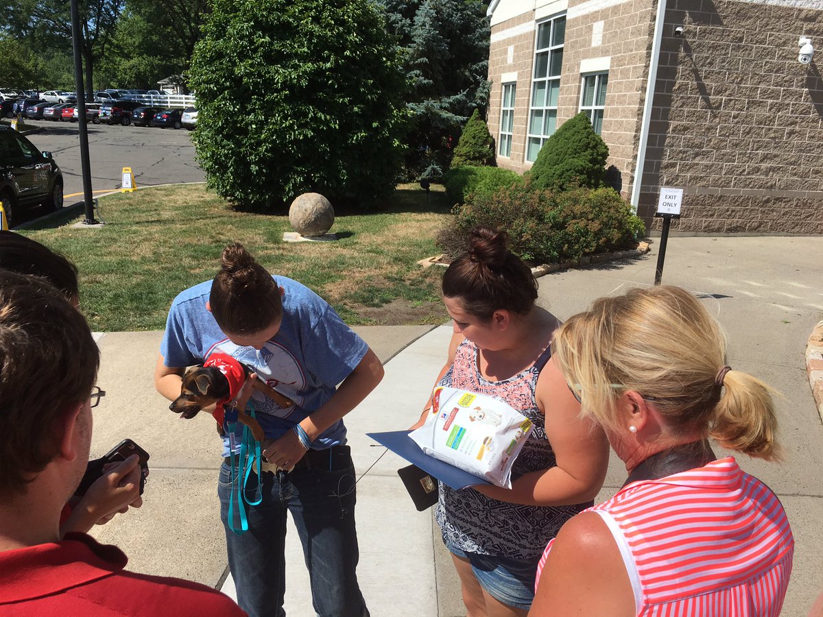 DeskBen's tweet photo. Adoptions underway at #ClearTheShelters at the CT Humane Society in Newington! @NBCConnecticut https://t.co/gtwE76JeQY