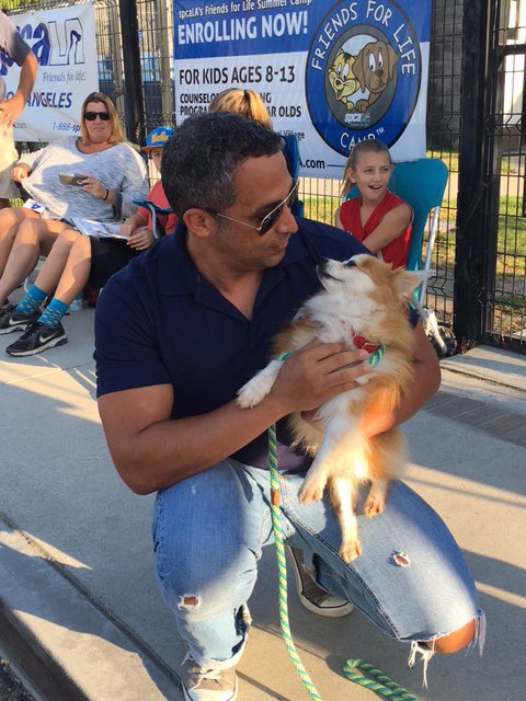 NBCLA's tweet photo. Beech and @MichaelNBCLA have become fast friends! Michael is live at @spcaLA in #LB for #ClearTheShelters! #NBC4You https://t.co/qreY4m4Jg2