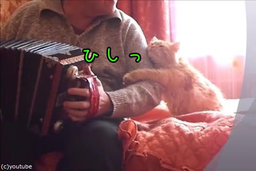 アコーディオンのtwitterイラスト検索結果 古い順