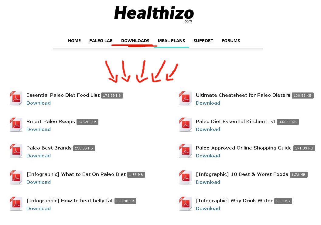 PaleoFoodBlog's tweet image. My #paleo lab.  Reports, checklists, cheatsheets, #recipes #giveaway 

Lab costs $37/month. RT for a chance to #win