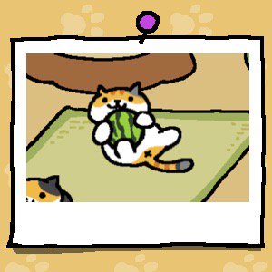 #ねこあつめ