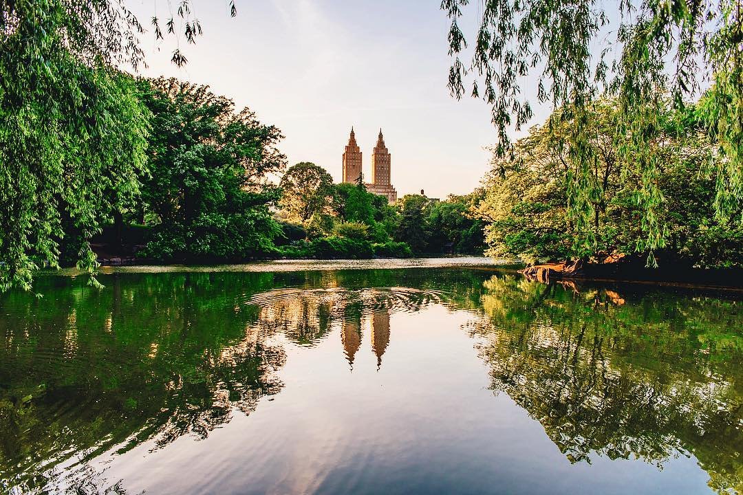 voguemagazine's tweet photo. Why the best way to experience Manhattan is without your cell phone: https://t.co/LrdrwMJrUX https://t.co/aebXvN3cNx