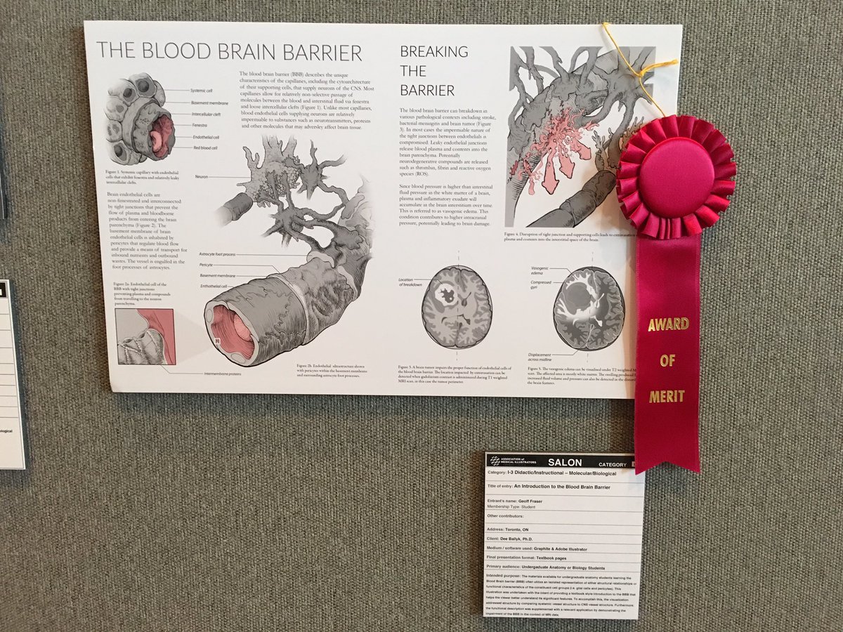 msh_ko's tweet photo. Some cool pieces in the salon #AMI2016 #medicalillustration #biocommunication https://t.co/IfXFzG0211