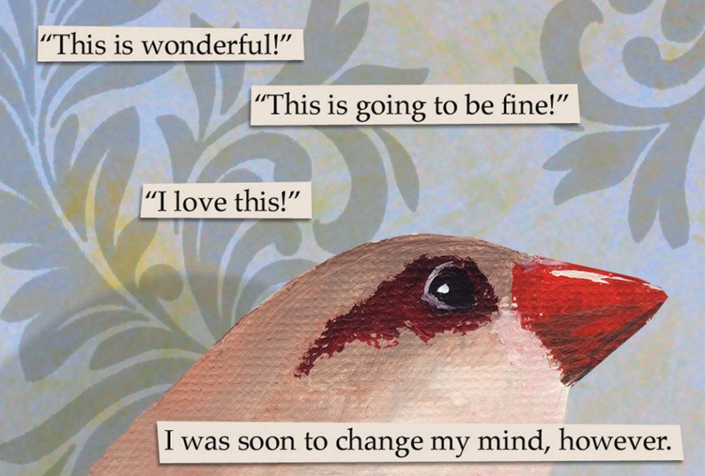bunburyist_'s tweet photo. I think I need to have this book in my life. #MincingMockingBird #GuidetoTroubledBirds https://t.co/YwFaHmqL1w