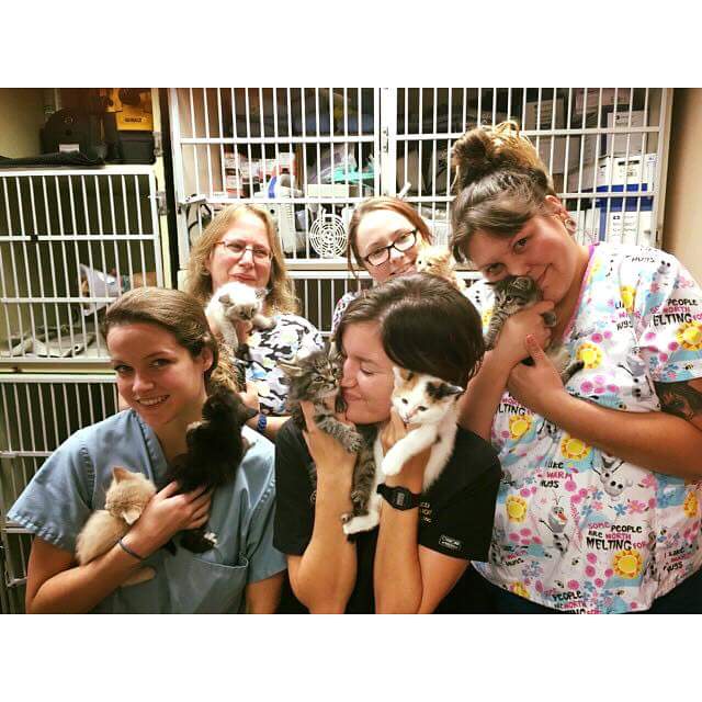 planned pethood plus website