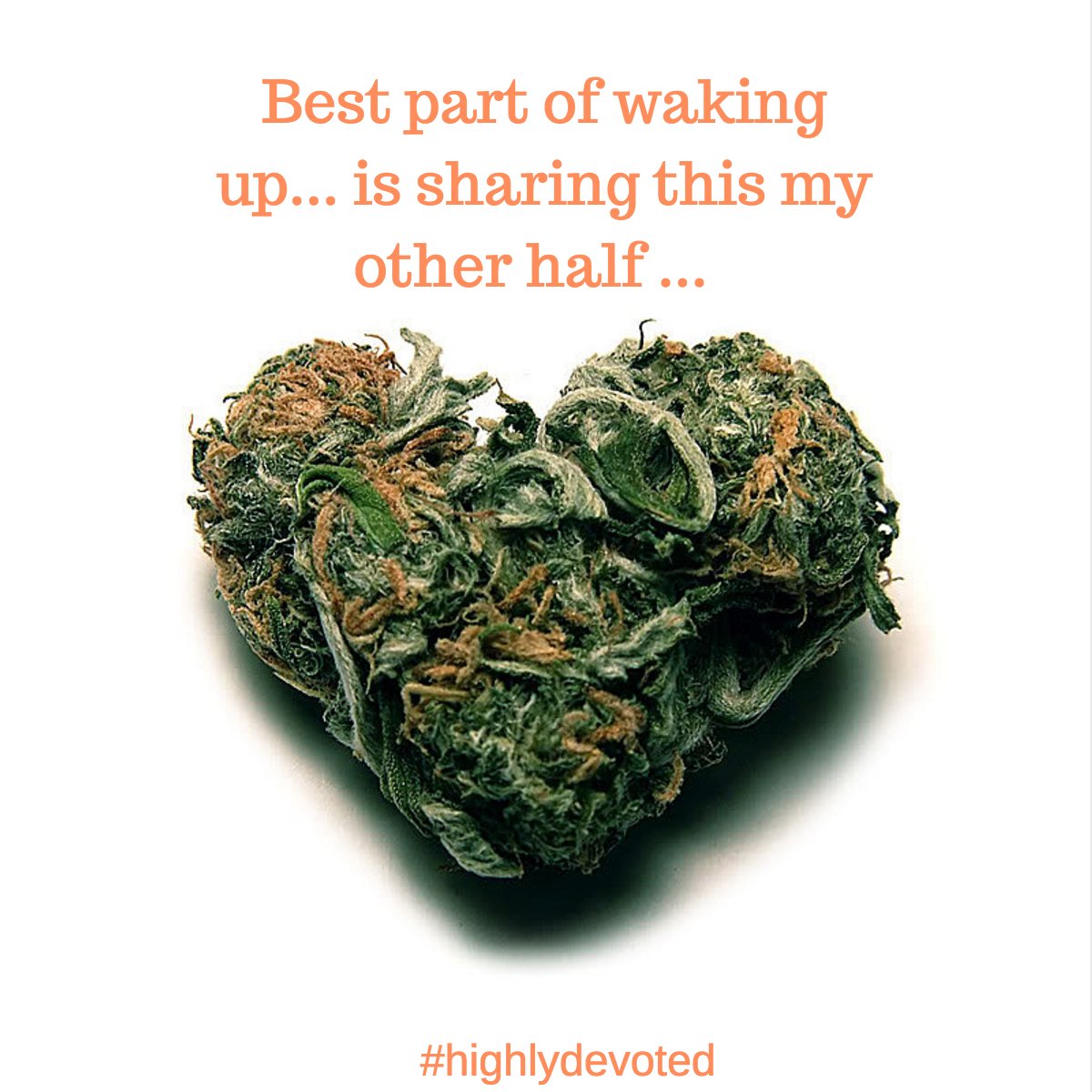 MsMollyLynn's tweet photo. Relax. Inhale. Enjoy. Happy Saturday. #highlydevoted #cannabiscommunity #highlyoptimistic #highsociety #highlife https://t.co/EPIxgjceeD