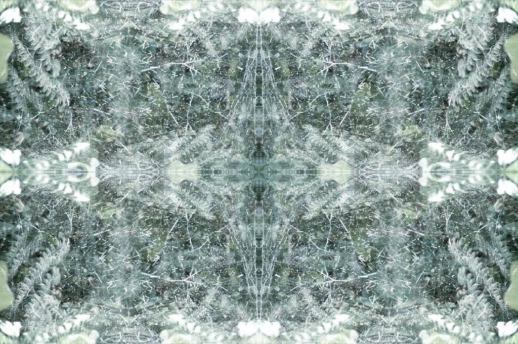 thornappledream's tweet photo. #thornappledreams #thornappleproductions #thornapple #mikeroutliffe #patterns #fractal #my… https://t.co/DCKjuNkddR https://t.co/ziajGyxHSa