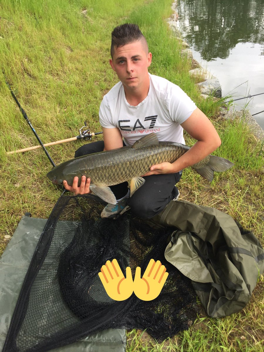 Steveizi tweet media