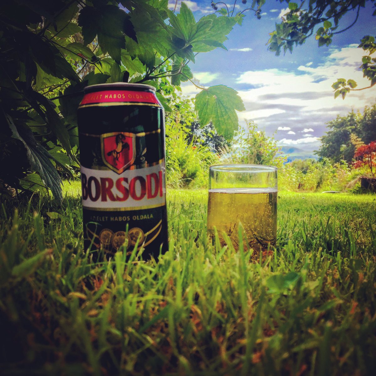 JaniNightChild's tweet photo. When you are Hungarian but working hard in the garden in Wales :) #borsodi #sör #magyarsör #llangors #wales https://t.co/OIfmFG1GYL