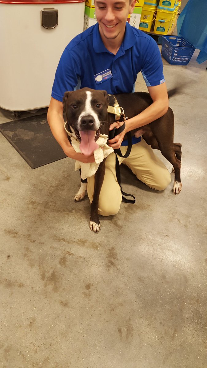 PetSmart LaPlace tweet media