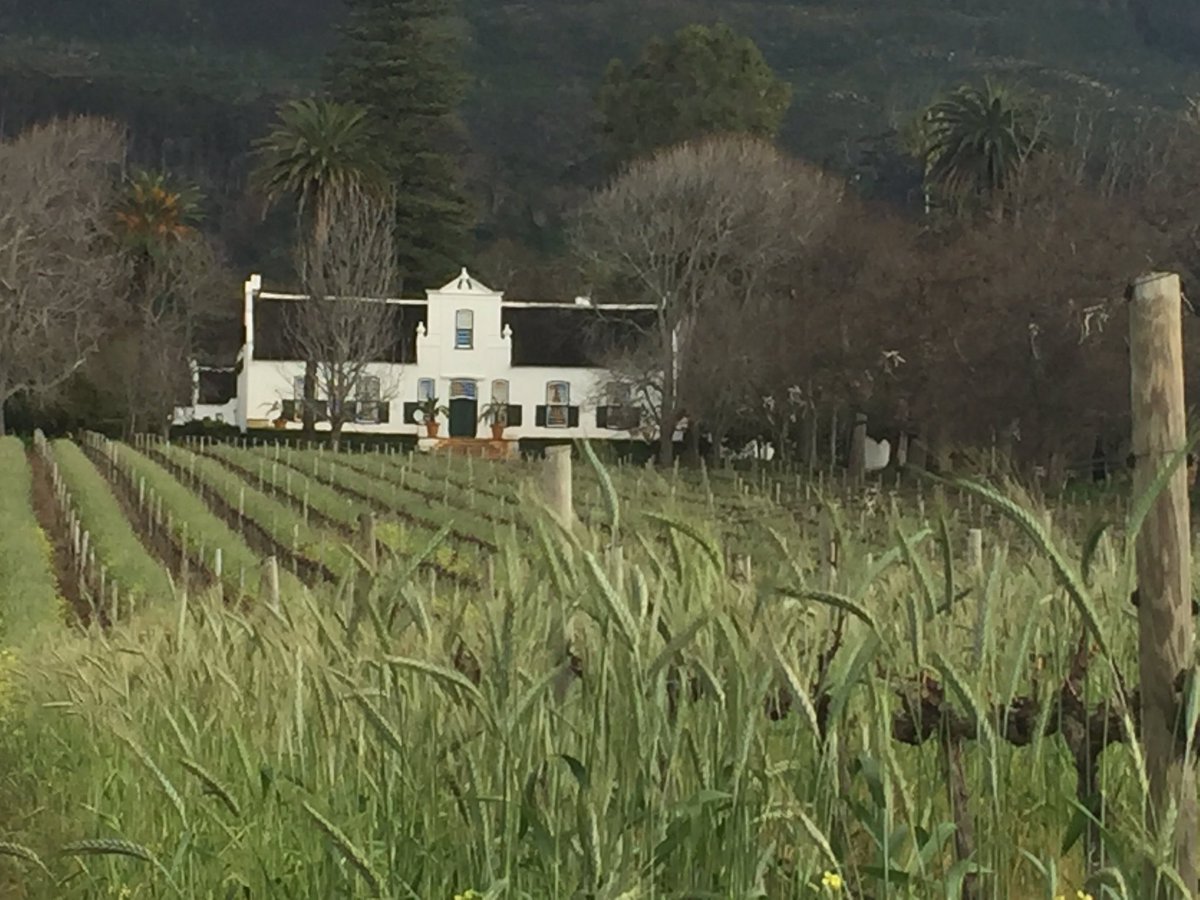 Constantia Wines (@constantiawines) on Twitter photo The Constantia farms are never a boring sight ..Great afternoon <a href="/BeyondBuiten/">Buitenverwachting</a> #constantia-wines The Constantia farms are never a boring sight ..Great afternoon <a href="/BeyondBuiten/">Buitenverwachting</a> #constantia-wines