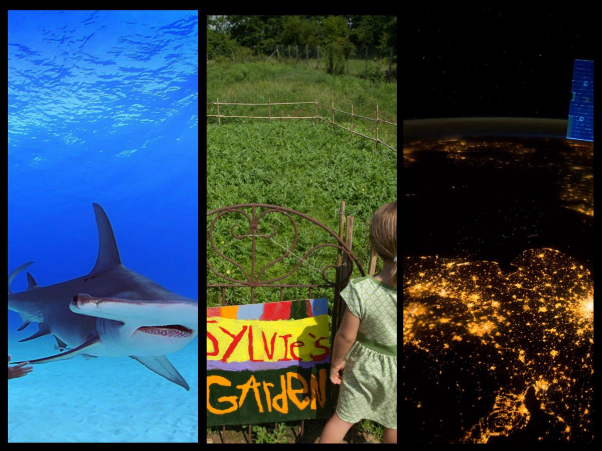 TWoSEdm's tweet photo. Go from Sea to Space & in between with IMAX this weekend at #MyTWOSE #SecretOcean #WatermelonMagic #ABeautifulPlanet https://t.co/bQnsOHMfyF