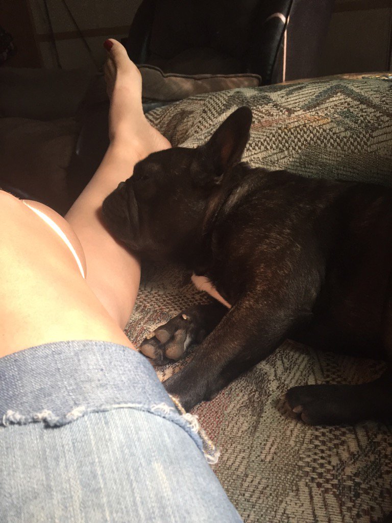 JavaJunkie76's tweet image. Mmm mom... My favorite head rest. ❤️💤