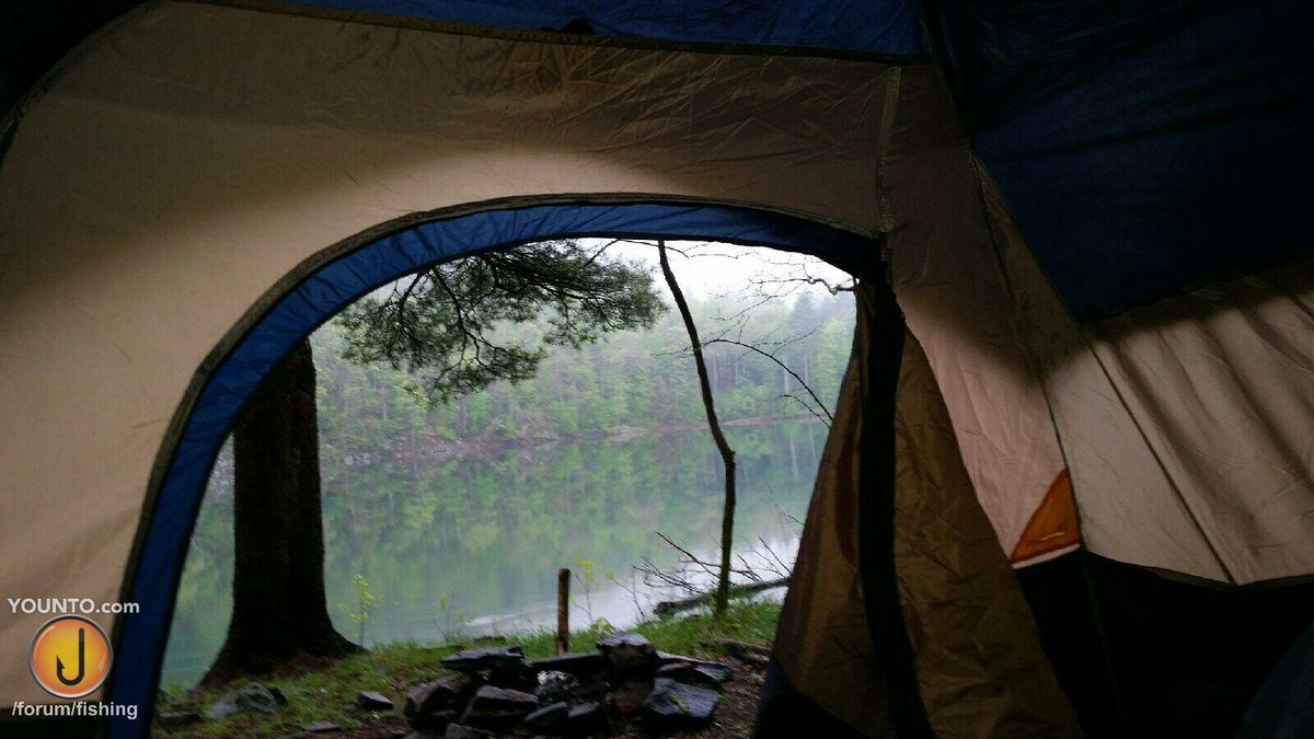 YountoFishing's tweet photo. @HometoOutdoors @FlyFishingSimpl A Great view to wake up to. More #scenery here: https://t.co/zslSy2d2ei #camping https://t.co/ykoSfHl5hP