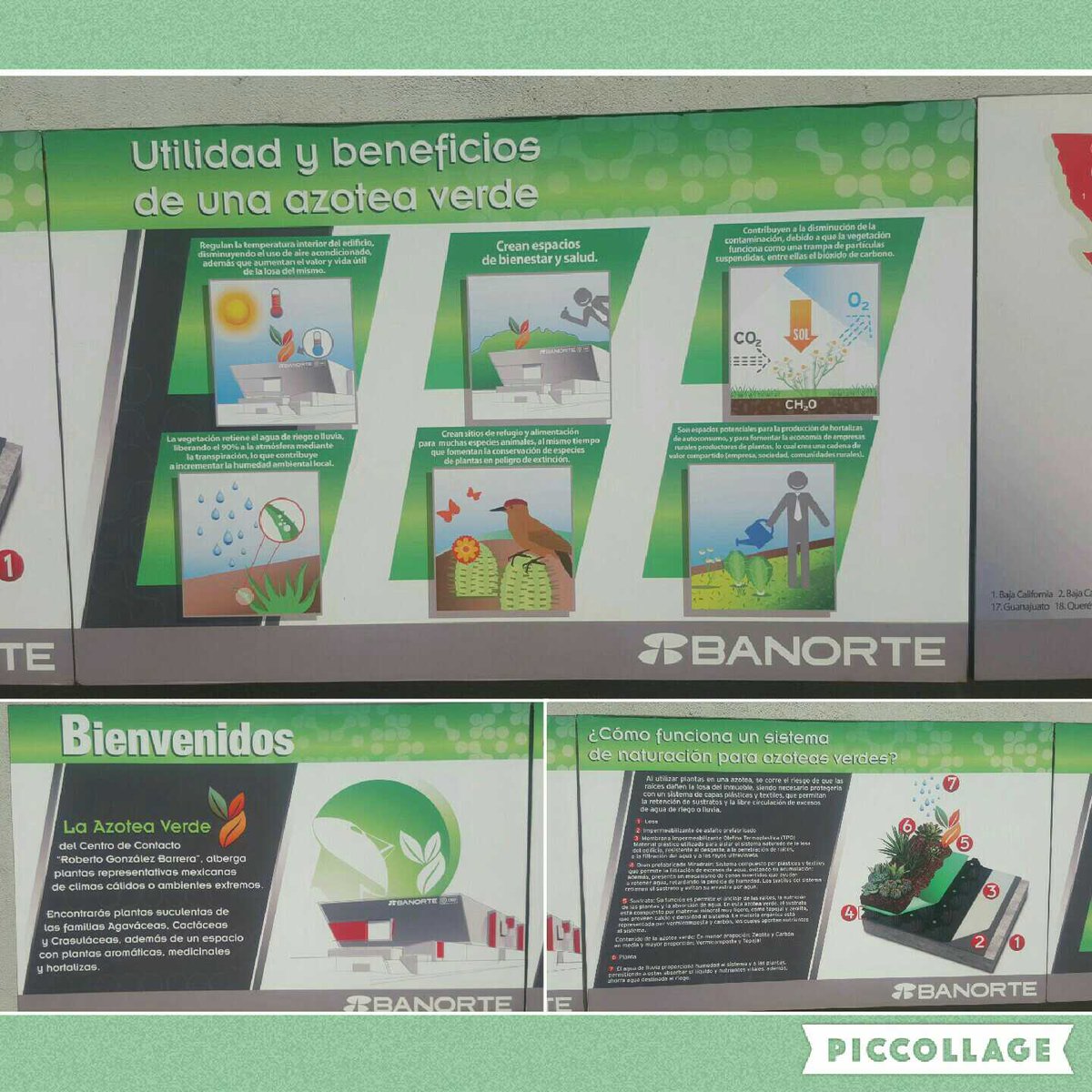 yazzmin_gg's tweet photo. Ampliando conocimientos. . Azotea verde Banorte @plantasENSE  @CienciasENSE https://t.co/KcXyPRhl9b