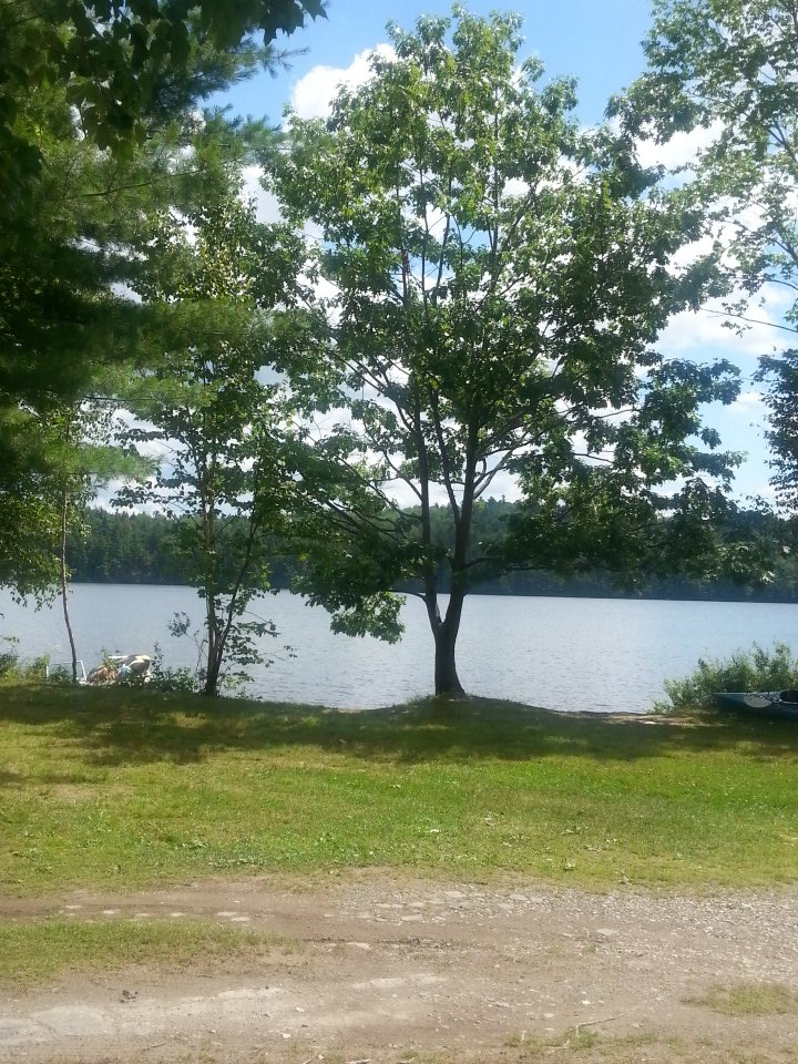 My view for the weekend