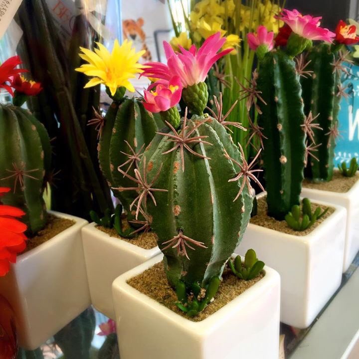 Inspirations Brixham tweet media