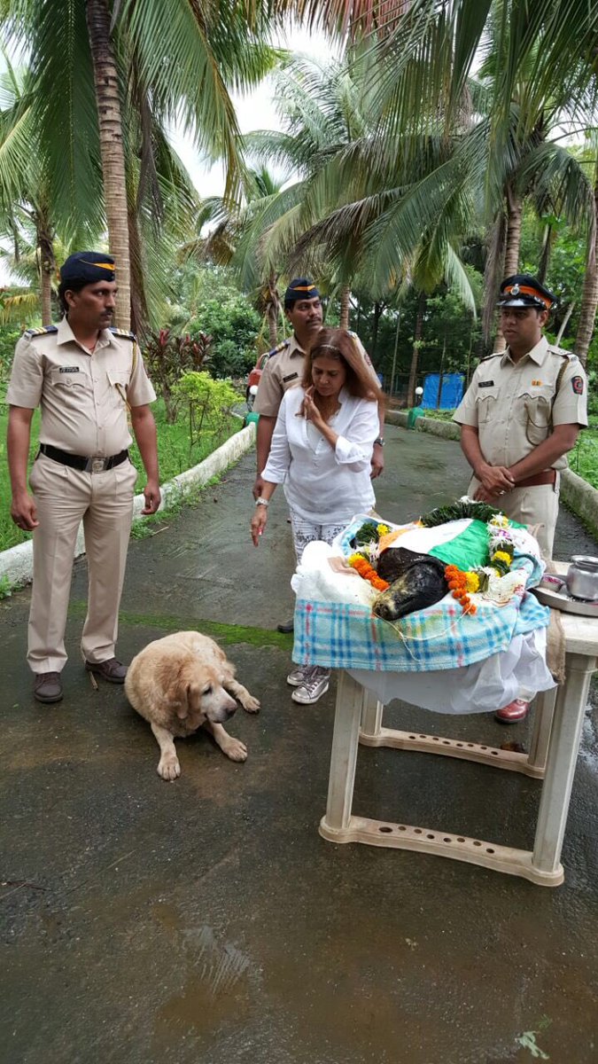 View image on Twitter