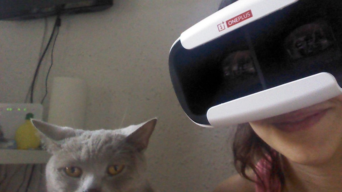 Alekdrita's tweet image. #OnePlus3 #OP3EuroTour La espera ha merecido la pena !Camiseta + Powerbank + #OnePlusLoopVR Las cosas gratis molan!