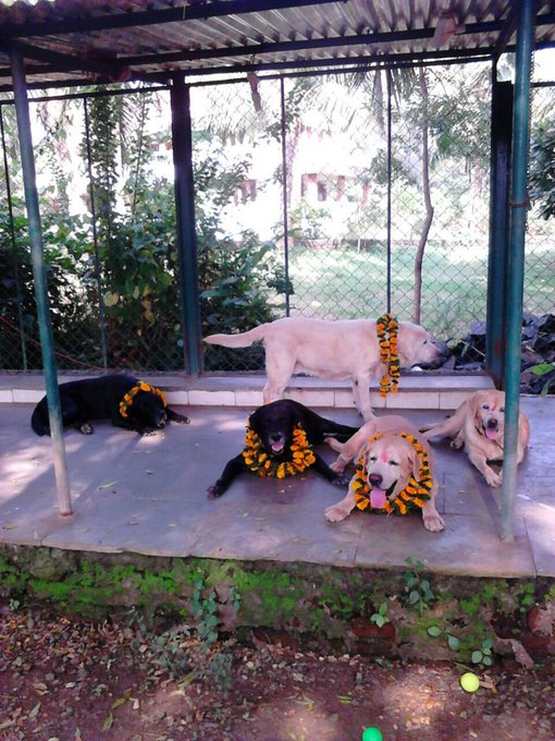 View image on Twitter