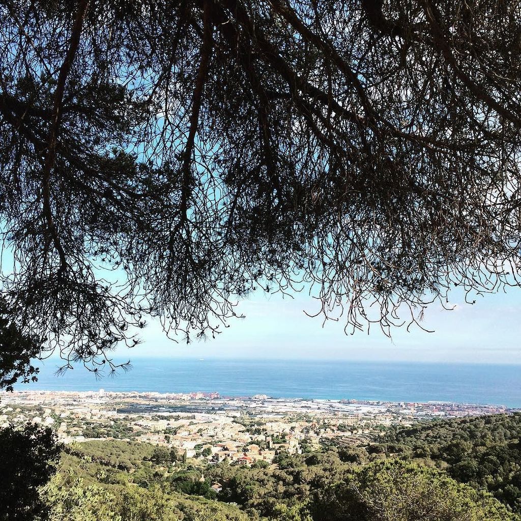 beatrizgaraia's tweet photo. #serrell mediterrani https://t.co/3EBgQjg86W https://t.co/wFUNnYkWXP