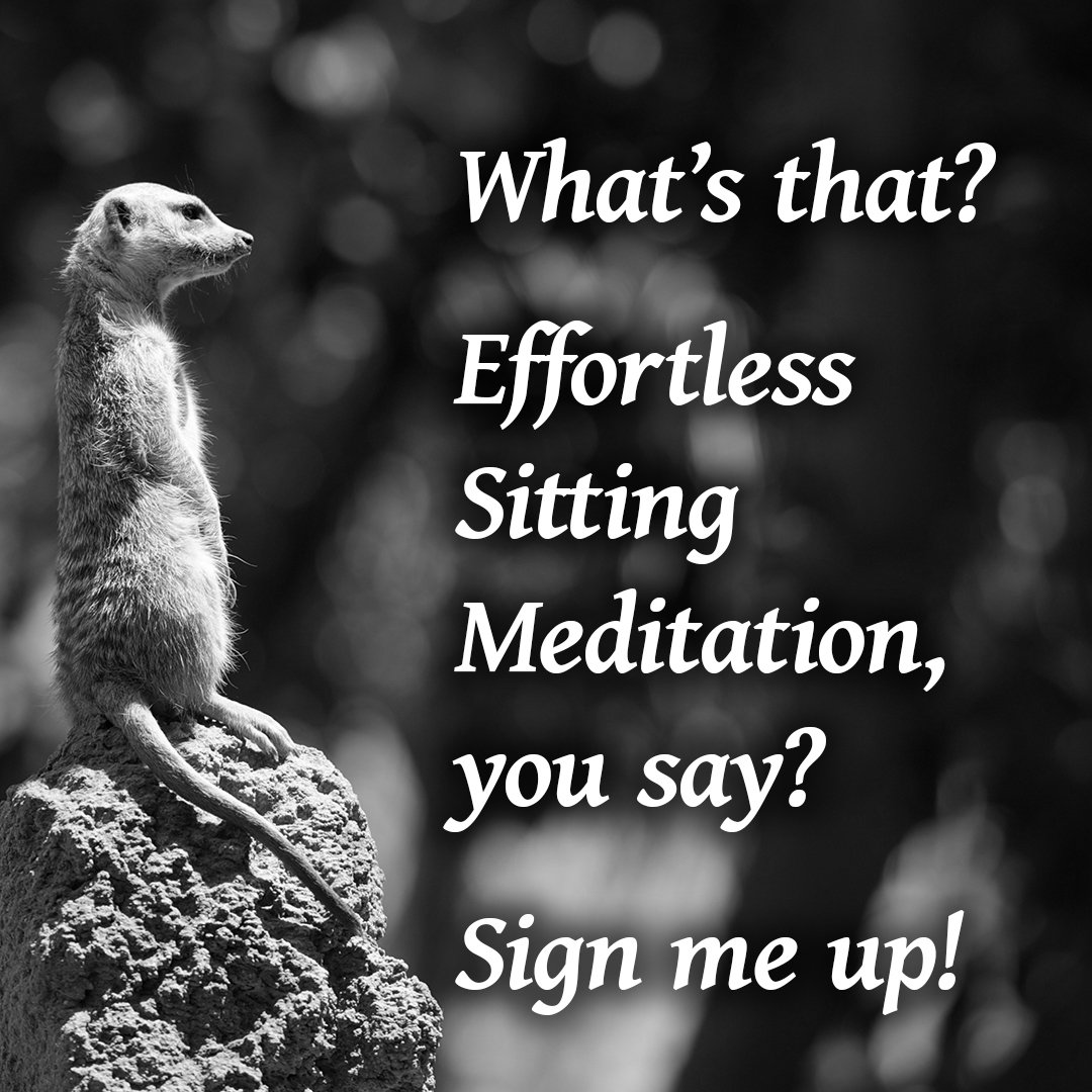 PoisedM's tweet image. Want to meditate pain &amp;amp; discomfort free? Enroll now! poisedmeditation.com/sitting 
#meditation #mindfulness #feldenkrais