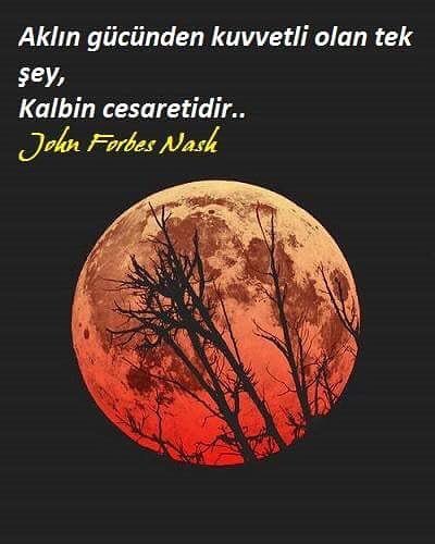EvitanNeslihan's tweet photo. Aklın Gücünden Kuvvetli Olan Tek Şey,
Kalbin Cesaretidir... https://t.co/X0M45zDWE3