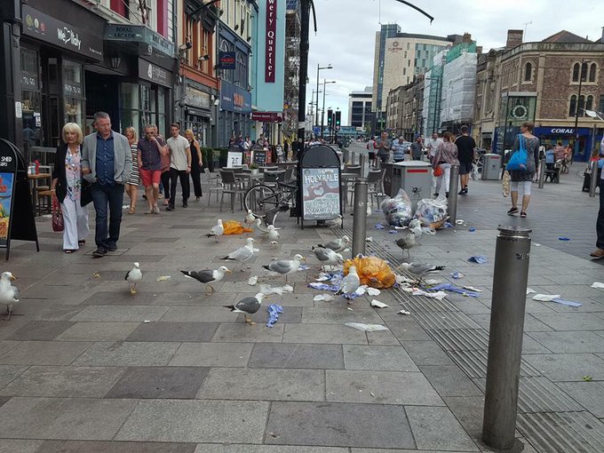 View image on Twitter