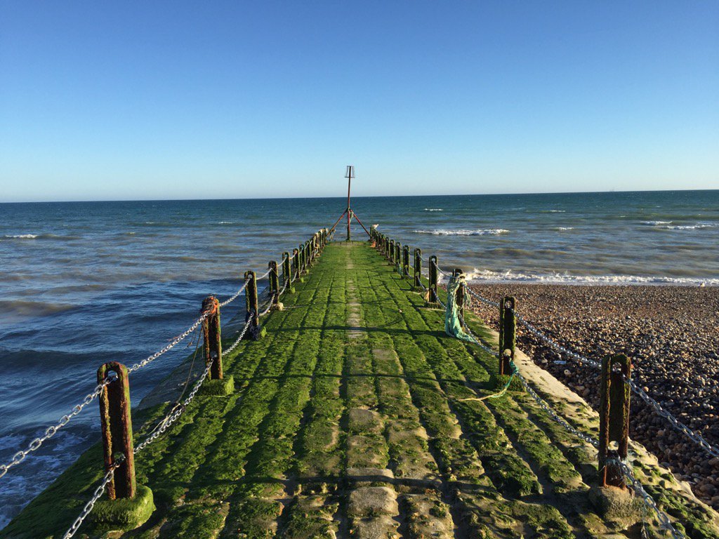 Dr Steve Evanson tweet media