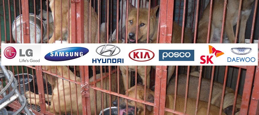 Summer4Ever2015's tweet photo. @lorem_Impsum @HyundaiEurope @AnonyOpBEAST   #BoycottTorture #StopBoknal2016 Now ! https://t.co/18HPHE30JN