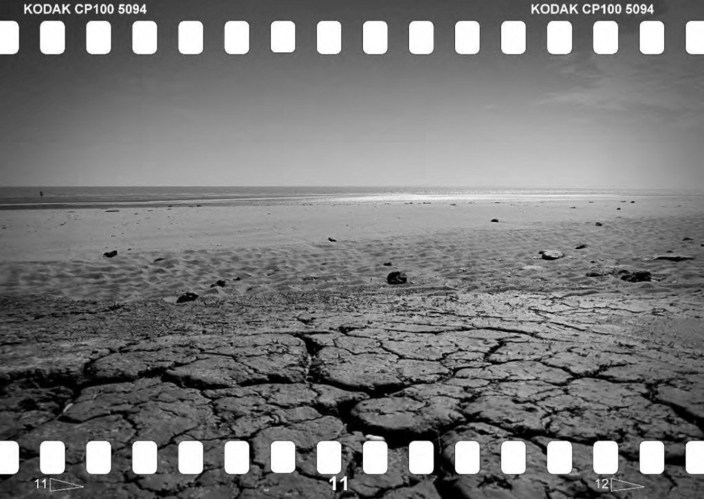 MonochromeMuse's tweet photo. EARTH:SEA https://t.co/zAsJ6lePTR https://t.co/nEi38xgrAY