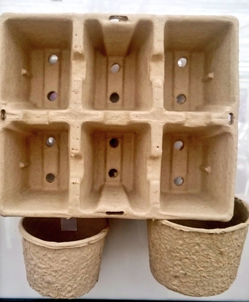 witc_ian's tweet photo. Very impressed by #Modiform compostable, recycled paper plant pots at #BallColegrave Summer Showcase. #sustainable https://t.co/0X8Wy5LyIR