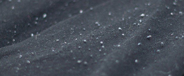 James Lima tweet media