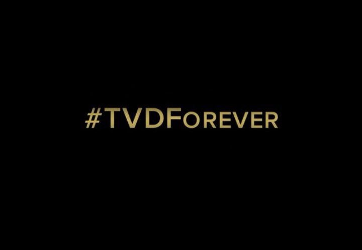 lovatoacustic's tweet photo. A PRIMEIRA SÉRIE A GENTE NUNCA ESQUECE #TVDSDCC https://t.co/KdvBCuytVD